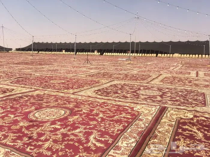 شبكة الافراح 6