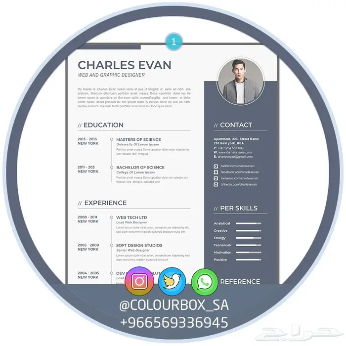 تصميم سيرة ذاتية بتنسيق وخدمة احترافية 0