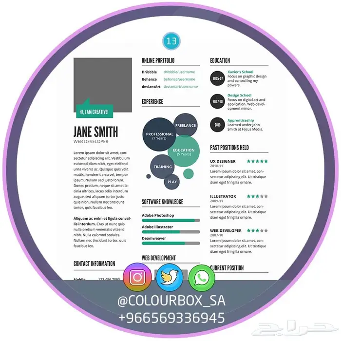 تصميم سيرة ذاتية بتنسيق وخدمة احترافية 2