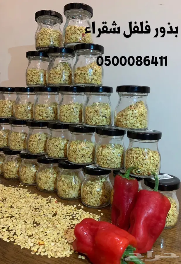 بذور فلفل شقراء نقي وخالي من الشوائب 0