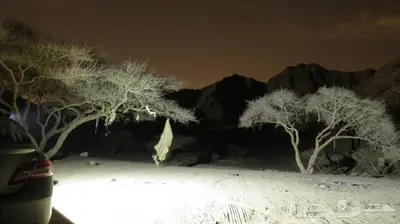 لمبه مغناطيس قويه 1
