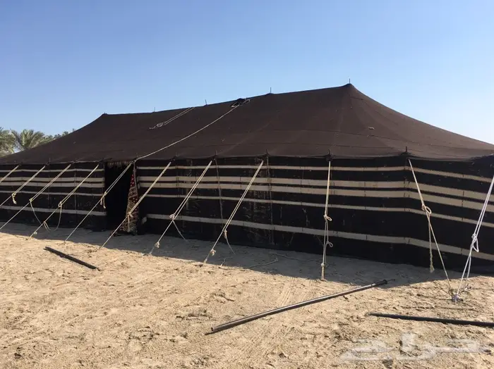 شبكة الافراح 2