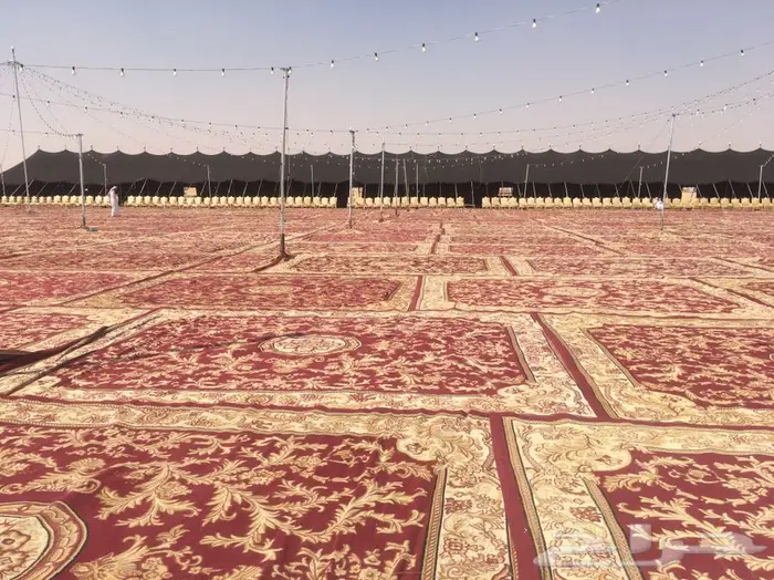 شبكة الافراح 7