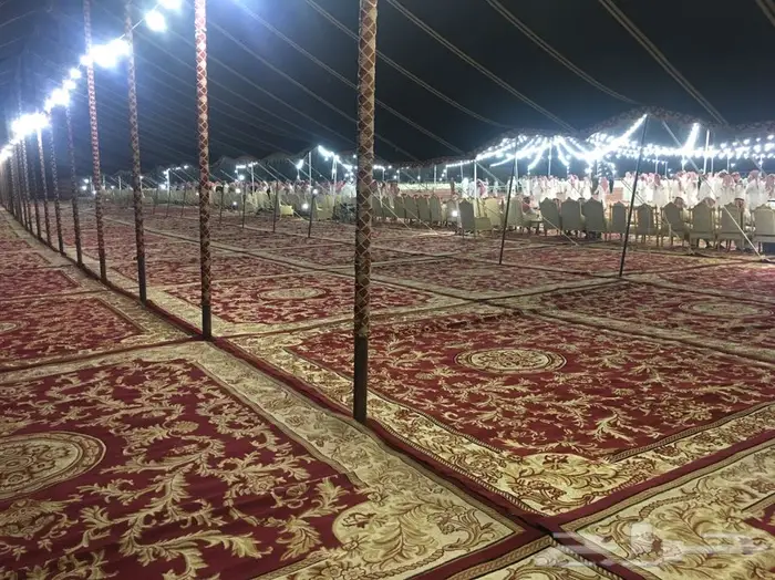 شبكة الافراح 8