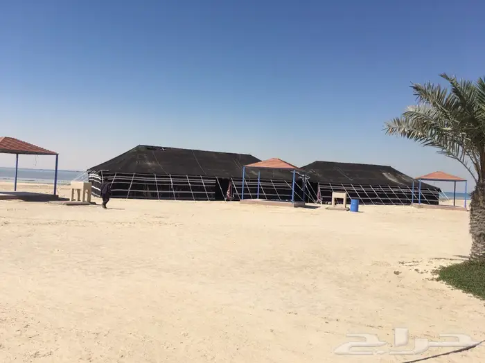 شبكة الافراح 3