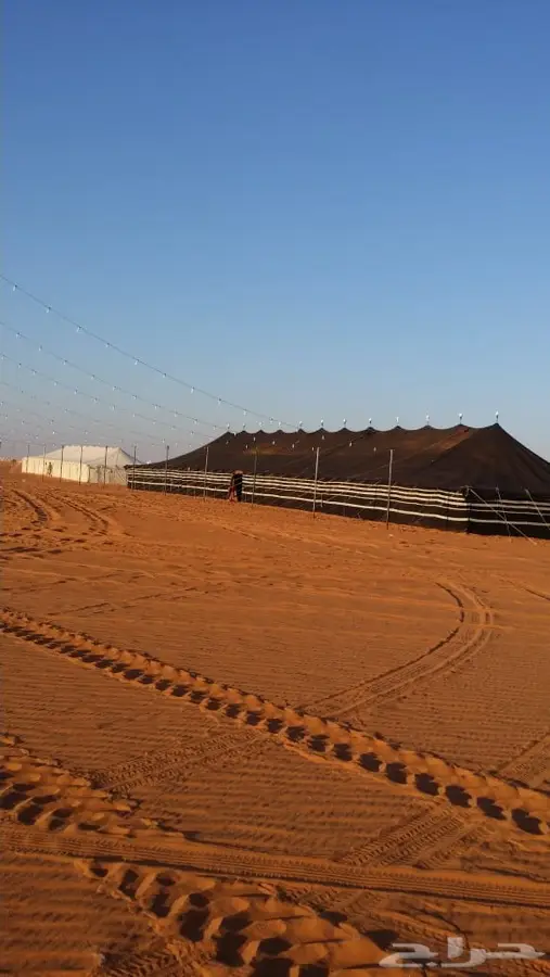 شبكة الافراح 1