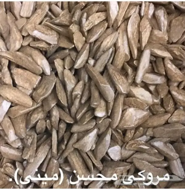 ابدا معنا تجارة العود فيها خير ورزق عظيم كثير 39