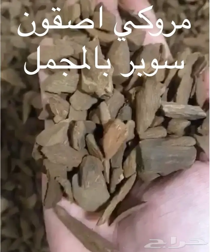 ابدا معنا تجارة العود فيها خير ورزق عظيم كثير 36