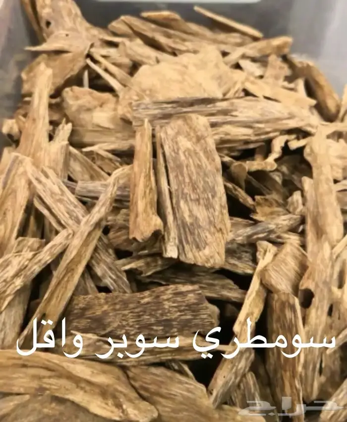 ابدا معنا تجارة العود فيها خير ورزق عظيم كثير 37