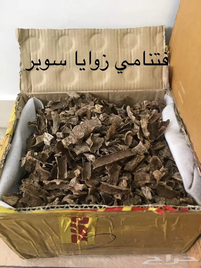 ابدا معنا تجارة العود فيها خير ورزق عظيم كثير 35