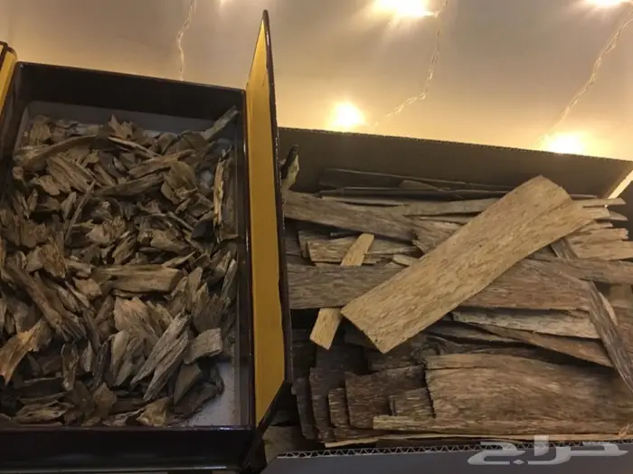 ابدا معنا تجارة العود فيها خير ورزق عظيم كثير 26