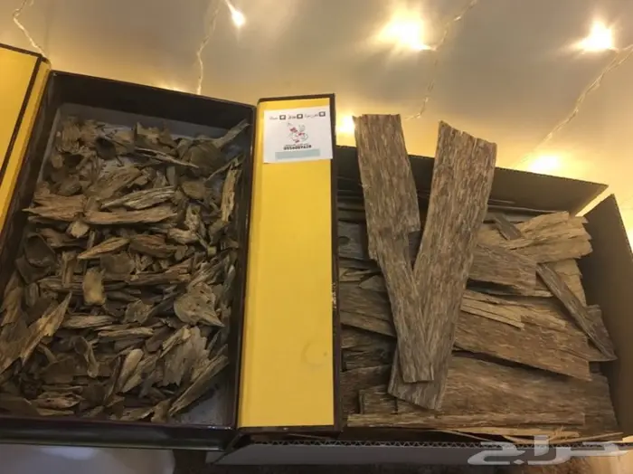 ابدا معنا تجارة العود فيها خير ورزق عظيم كثير 27