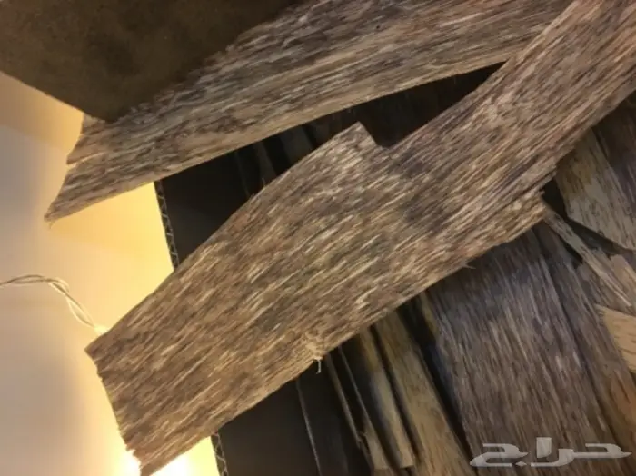 ابدا معنا تجارة العود فيها خير ورزق عظيم كثير 29