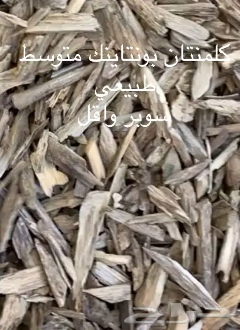 تجارة العود فيه خير كثير ورزق كثير سعر جمله 9