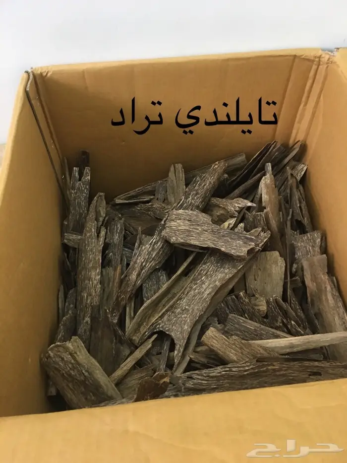 تجارة العود فيه خير كثير ورزق كثير سعر جمله 3