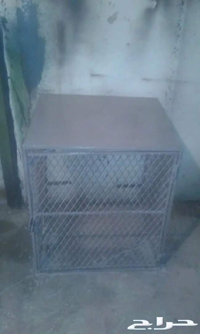 حداد عزيز جميع الحداده الاحساء 13