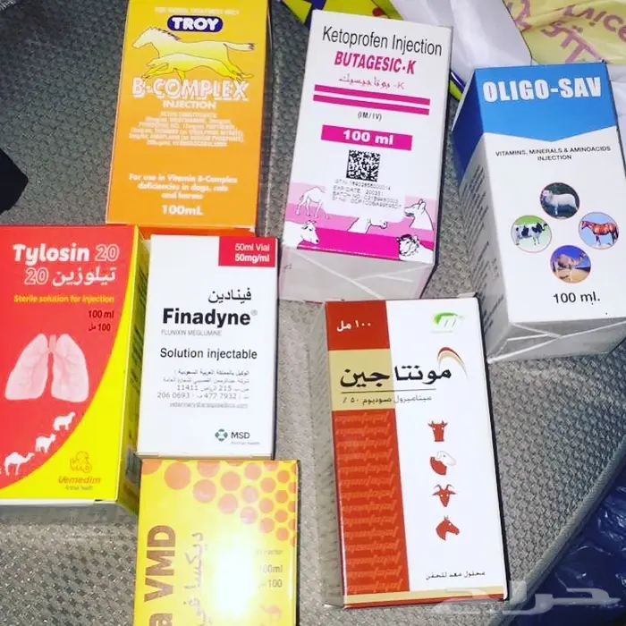 طبيب بيطري  2