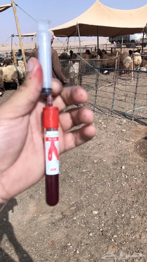 دكتور بيطري  0