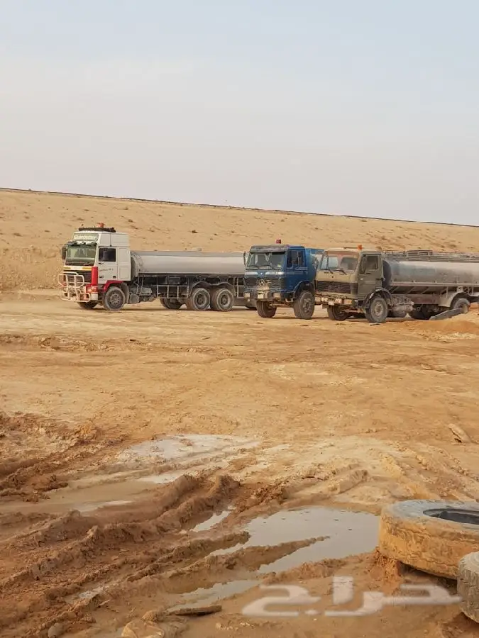 وايت سكس للايجار مع سائق و للبيع 11