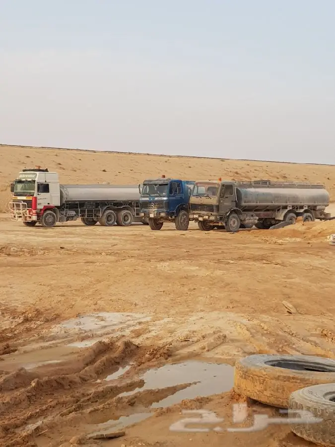 وايت سكس للايجار مع سائق و للبيع 12