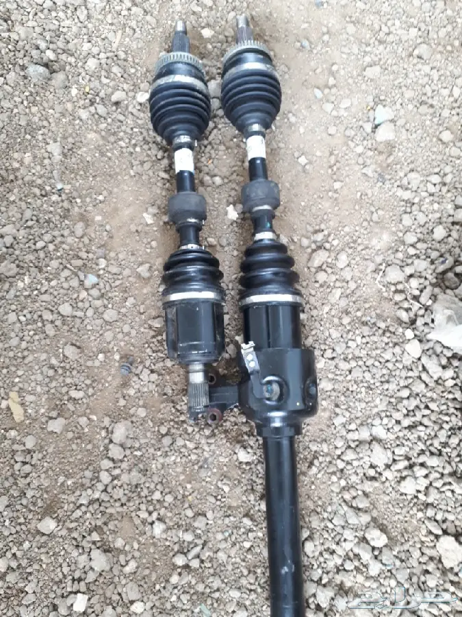 عكوس كادينزا 18 - 17 0