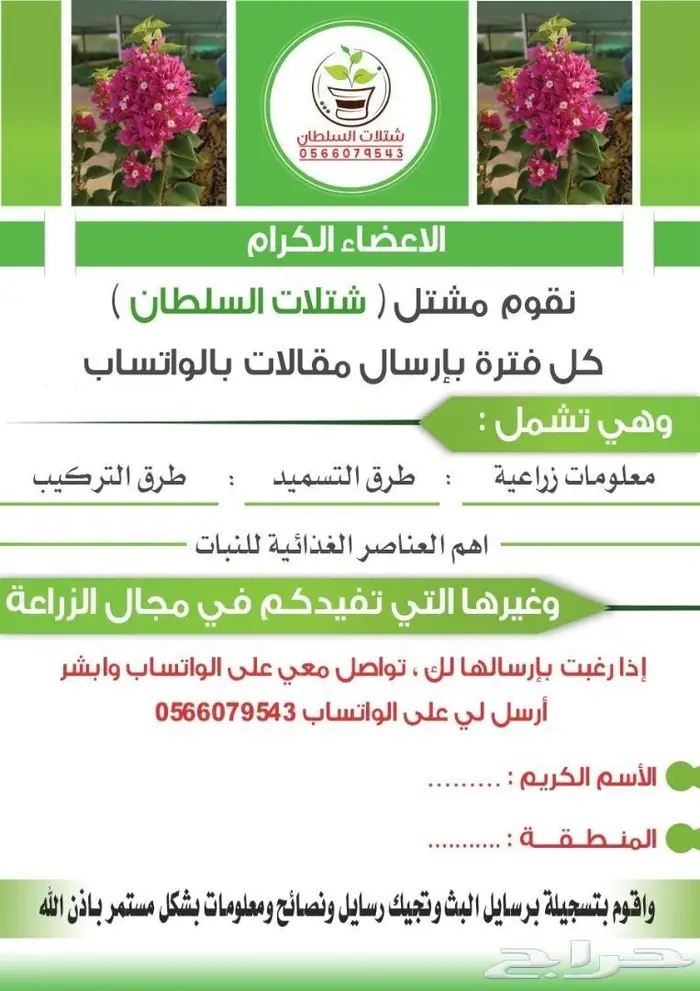 شتلات زراعيه للبيع تبدأ من ريال ونصف للشتله  1