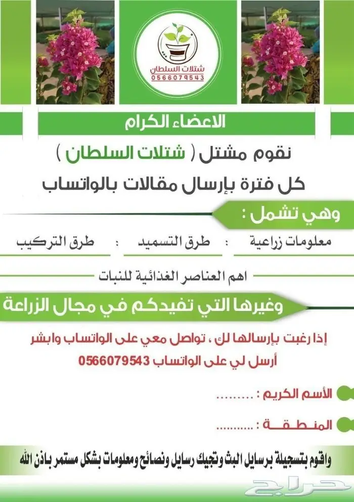 شتلات زراعيه للبيع تبدأ من ريال ونصف للشتله  74