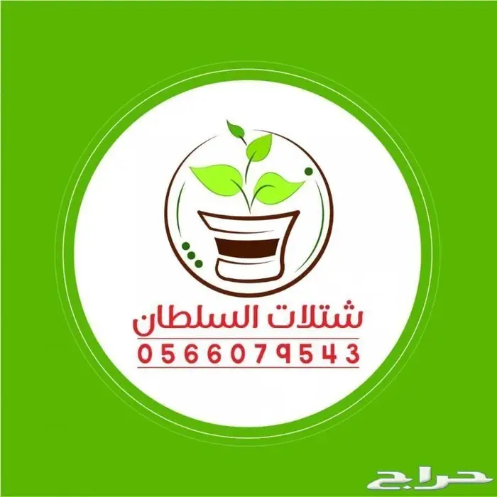 شتلات زراعيه للبيع تبدأ من ريال ونصف للشتله  54