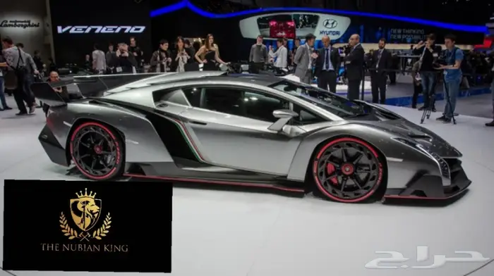 جنوط لمبرجيني  افنتادور 14