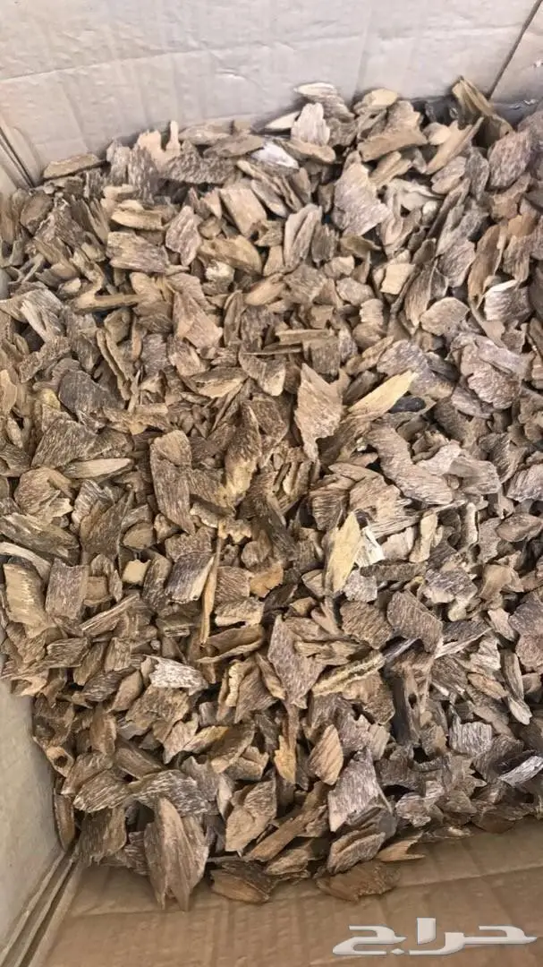 عروض عود فااخر جملة  8