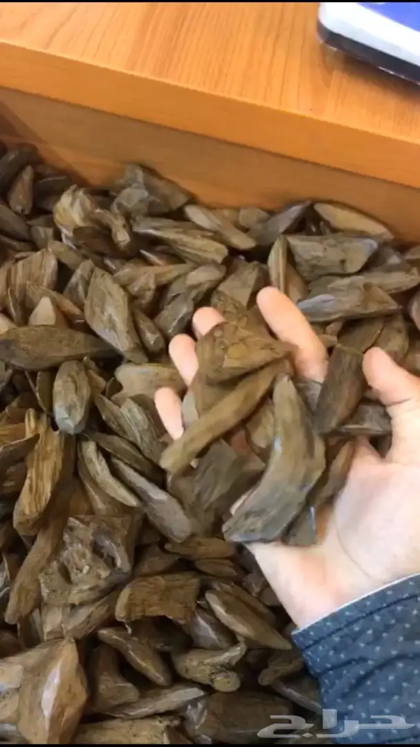 دهن عود كلمنتان جملة الجملة  1