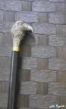 غداره الحصان الذهبى 3