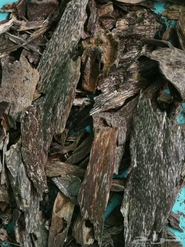 ادهان عود ملكيه غابات طبيعيه فاخره جدا 3