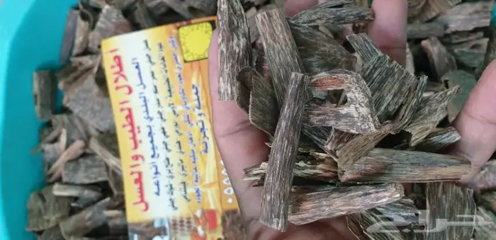 كاوياي الاجداد والادهان الملكيه ثبات الاصل 17