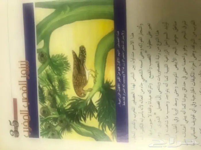 كتاب الطيور المستوطنة والزائرة الى ليبيا 3