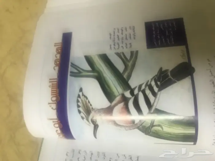 كتاب الطيور المستوطنة والزائرة الى ليبيا 4