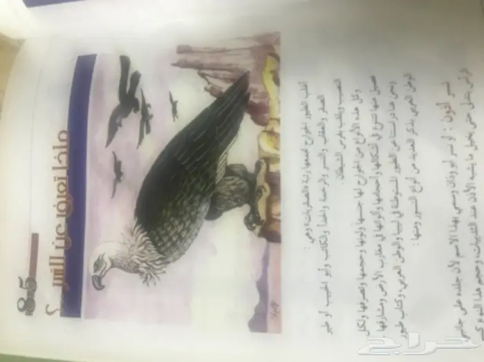 كتاب الطيور المستوطنة والزائرة الى ليبيا 6