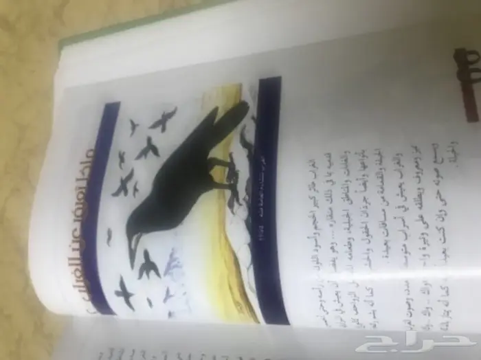 كتاب الطيور المستوطنة والزائرة الى ليبيا 8