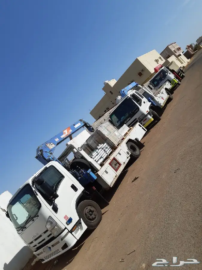 دينا ونش في ينبع البحر  9