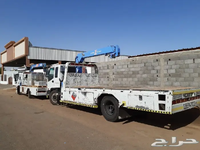 دينا ونش في ينبع البحر  8