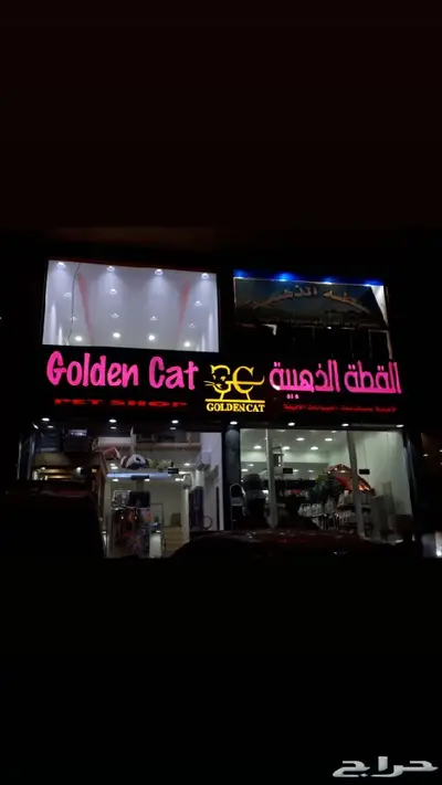 ريشة الابداع للدعايه والاعلان 3