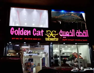 ريشة الابداع للدعايه والاعلان 4