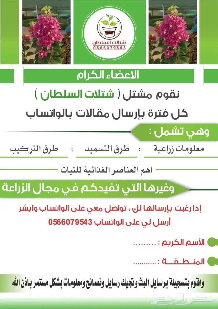 شتلات السلطان 0566079543 0