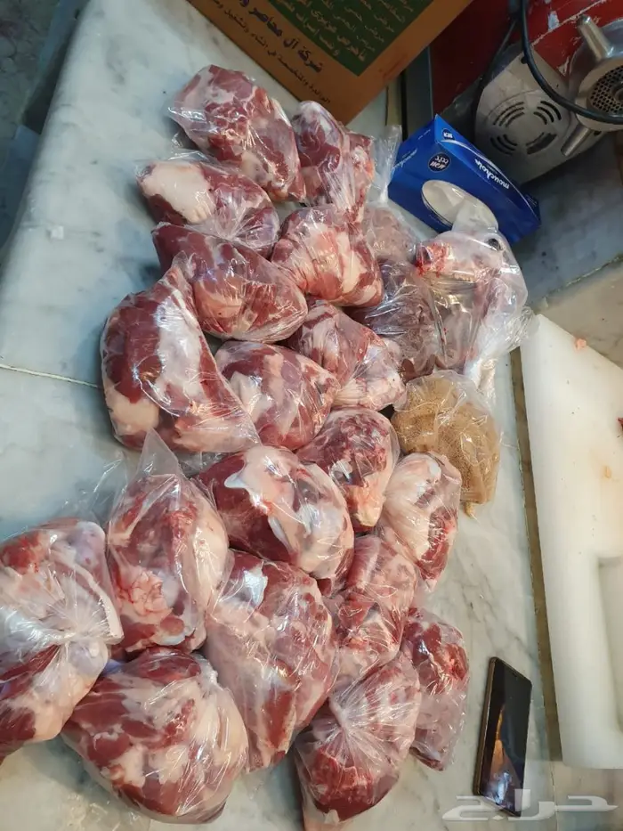 غنم للبيع من سوق الغنم الرياض بالتوصيل 11