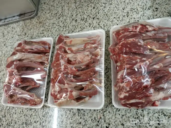 غنم للبيع من سوق الغنم الرياض بالتوصيل 12