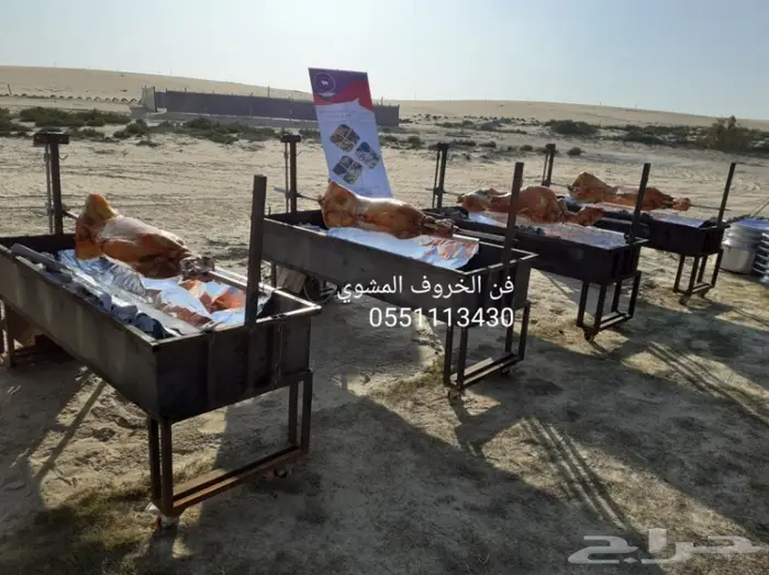فن الخروف المشوي 11