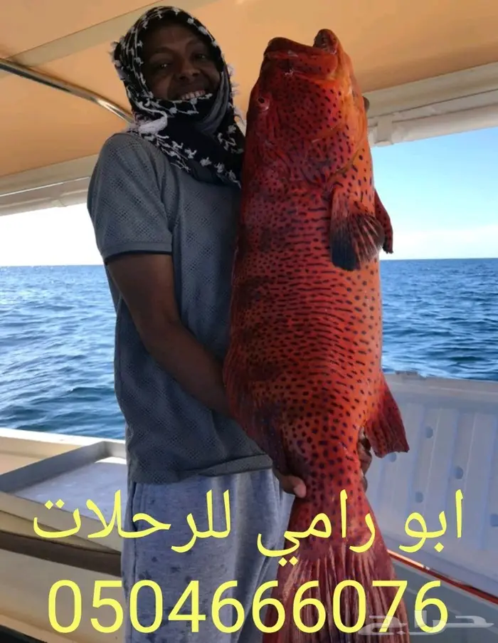 قارب لرحلات البحرية نزهه و صيد ...ثول...جده 6