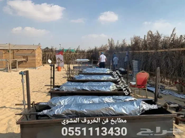 فن الخروف المشوي 15
