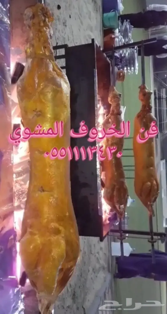 فن الخروف المشوي 16