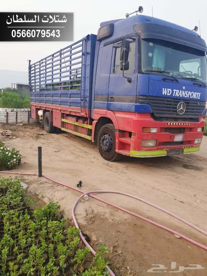 شتلات السلطان - 0566079543 34